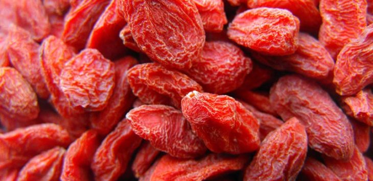 Getrocknete Früchte Grosshandel Goji Beeren Getrocknete Früchte Grosshandel Goji Beeren