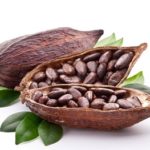 Bio Kakaobohnen
