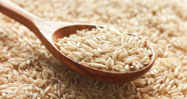 Bio Reis-Proteinpulver